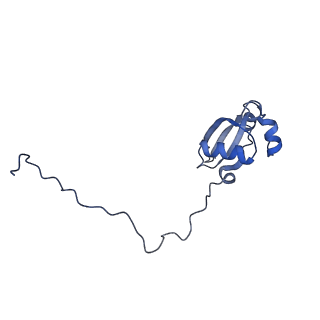 10181_6sgc_X2_v1-2
Rabbit 80S ribosome stalled on a poly(A) tail