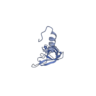 10181_6sgc_Y1_v1-2
Rabbit 80S ribosome stalled on a poly(A) tail