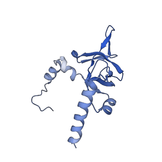 10181_6sgc_Y2_v1-2
Rabbit 80S ribosome stalled on a poly(A) tail