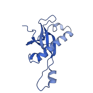 10181_6sgc_Z2_v1-2
Rabbit 80S ribosome stalled on a poly(A) tail