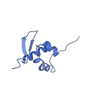 10181_6sgc_a1_v1-2
Rabbit 80S ribosome stalled on a poly(A) tail