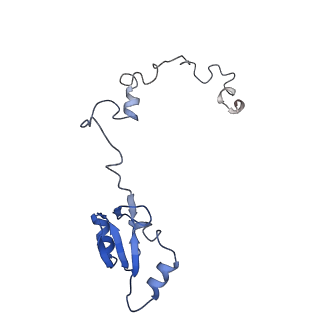 10181_6sgc_a2_v1-2
Rabbit 80S ribosome stalled on a poly(A) tail