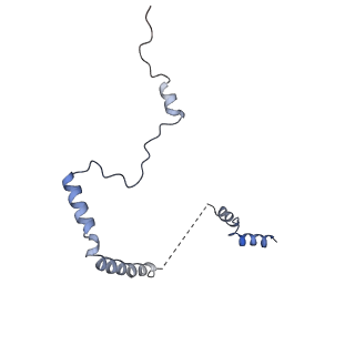 10181_6sgc_b2_v1-2
Rabbit 80S ribosome stalled on a poly(A) tail
