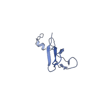 10181_6sgc_c1_v1-2
Rabbit 80S ribosome stalled on a poly(A) tail