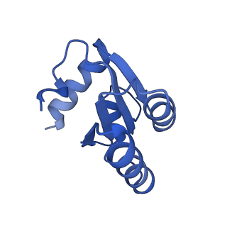 10181_6sgc_c2_v1-2
Rabbit 80S ribosome stalled on a poly(A) tail