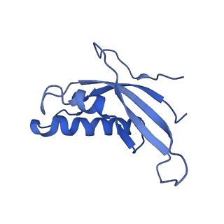10181_6sgc_d2_v1-2
Rabbit 80S ribosome stalled on a poly(A) tail