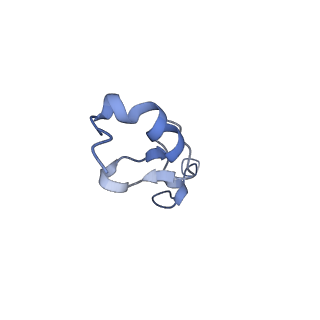 10181_6sgc_e1_v1-2
Rabbit 80S ribosome stalled on a poly(A) tail