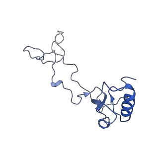 10181_6sgc_e2_v1-2
Rabbit 80S ribosome stalled on a poly(A) tail