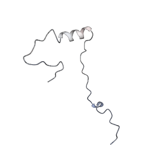 10181_6sgc_f1_v1-2
Rabbit 80S ribosome stalled on a poly(A) tail