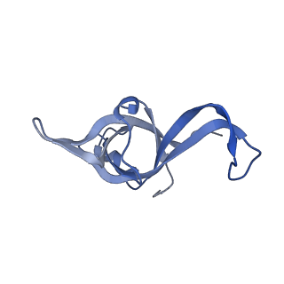 10181_6sgc_f2_v1-2
Rabbit 80S ribosome stalled on a poly(A) tail