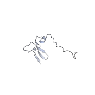 10181_6sgc_g1_v1-2
Rabbit 80S ribosome stalled on a poly(A) tail
