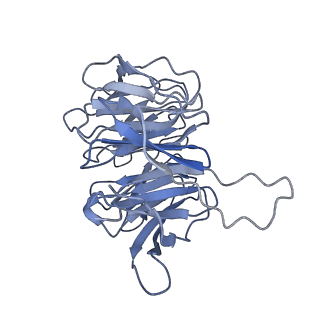 10181_6sgc_h1_v1-2
Rabbit 80S ribosome stalled on a poly(A) tail