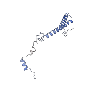 10181_6sgc_h2_v1-2
Rabbit 80S ribosome stalled on a poly(A) tail