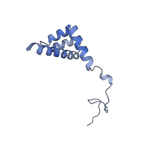 10181_6sgc_i2_v1-2
Rabbit 80S ribosome stalled on a poly(A) tail