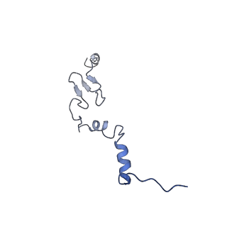 10181_6sgc_j2_v1-2
Rabbit 80S ribosome stalled on a poly(A) tail