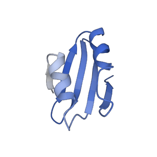 10181_6sgc_k2_v1-2
Rabbit 80S ribosome stalled on a poly(A) tail