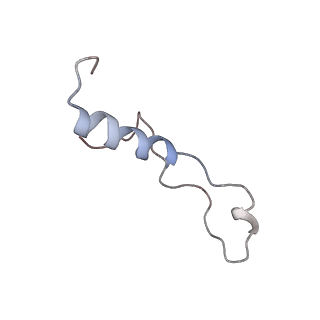 10181_6sgc_l2_v1-2
Rabbit 80S ribosome stalled on a poly(A) tail