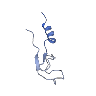 10181_6sgc_m2_v1-2
Rabbit 80S ribosome stalled on a poly(A) tail