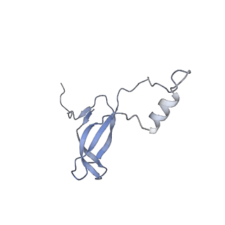 10181_6sgc_o2_v1-2
Rabbit 80S ribosome stalled on a poly(A) tail