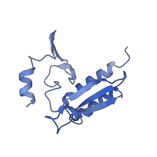 10181_6sgc_r2_v1-2
Rabbit 80S ribosome stalled on a poly(A) tail
