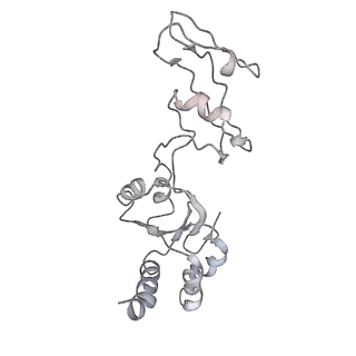 10181_6sgc_s2_v1-2
Rabbit 80S ribosome stalled on a poly(A) tail