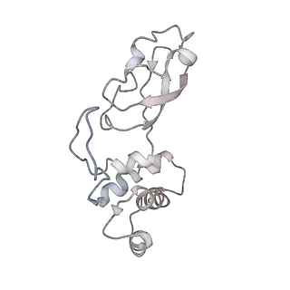 10181_6sgc_t2_v1-2
Rabbit 80S ribosome stalled on a poly(A) tail