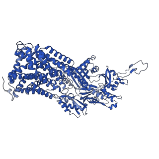 10182_6sgr_A_v1-2
Cryo-EM structure of Escherichia coli AcrBZ and DARPin in Saposin A-nanodisc with cardiolipin