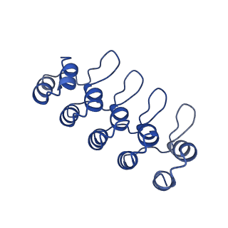 10182_6sgr_E_v1-2
Cryo-EM structure of Escherichia coli AcrBZ and DARPin in Saposin A-nanodisc with cardiolipin