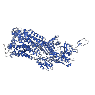 10183_6sgs_A_v1-1
Cryo-EM structure of Escherichia coli AcrBZ and DARPin in Saposin A-nanodisc
