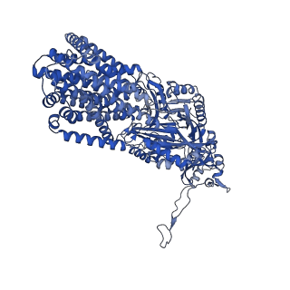 10183_6sgs_B_v1-1
Cryo-EM structure of Escherichia coli AcrBZ and DARPin in Saposin A-nanodisc