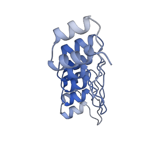 10183_6sgs_D_v1-1
Cryo-EM structure of Escherichia coli AcrBZ and DARPin in Saposin A-nanodisc