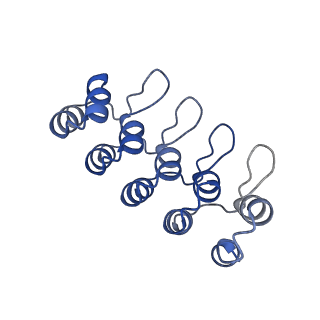 10183_6sgs_E_v1-1
Cryo-EM structure of Escherichia coli AcrBZ and DARPin in Saposin A-nanodisc