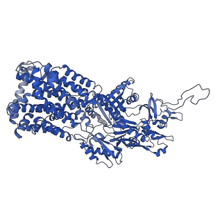 10184_6sgt_A_v1-1
Cryo-EM structure of Escherichia coli AcrB and DARPin in Saposin A-nanodisc with cardiolipin