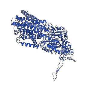 10184_6sgt_B_v1-1
Cryo-EM structure of Escherichia coli AcrB and DARPin in Saposin A-nanodisc with cardiolipin