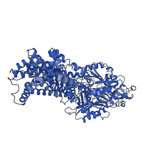 10184_6sgt_C_v1-1
Cryo-EM structure of Escherichia coli AcrB and DARPin in Saposin A-nanodisc with cardiolipin