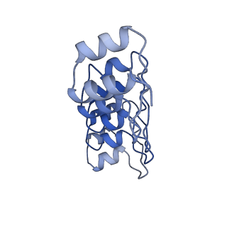 10184_6sgt_D_v1-1
Cryo-EM structure of Escherichia coli AcrB and DARPin in Saposin A-nanodisc with cardiolipin