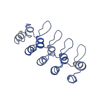 10184_6sgt_E_v1-1
Cryo-EM structure of Escherichia coli AcrB and DARPin in Saposin A-nanodisc with cardiolipin