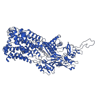 10185_6sgu_A_v1-1
Cryo-EM structure of Escherichia coli AcrB and DARPin in Saposin A-nanodisc
