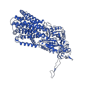 10185_6sgu_B_v1-1
Cryo-EM structure of Escherichia coli AcrB and DARPin in Saposin A-nanodisc