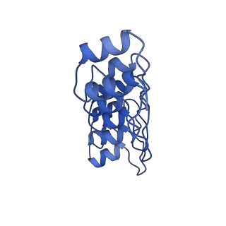 10185_6sgu_D_v1-1
Cryo-EM structure of Escherichia coli AcrB and DARPin in Saposin A-nanodisc