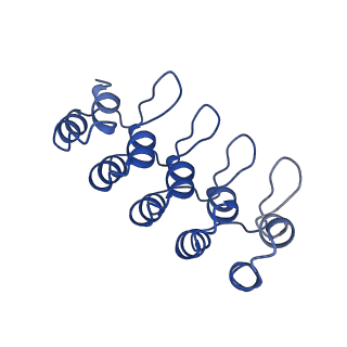 10185_6sgu_E_v1-1
Cryo-EM structure of Escherichia coli AcrB and DARPin in Saposin A-nanodisc