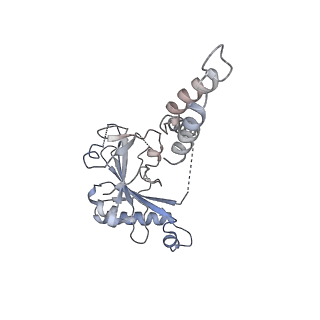 10186_6sgw_D_v1-2
Structure of the ESX-3 core complex