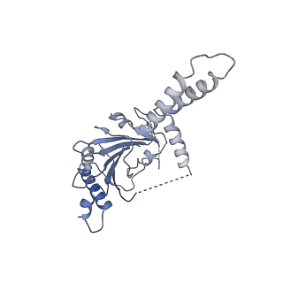 10186_6sgw_G_v1-2
Structure of the ESX-3 core complex