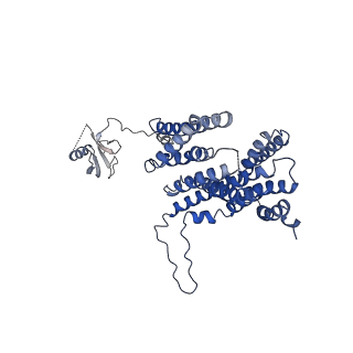 10186_6sgw_H_v1-2
Structure of the ESX-3 core complex