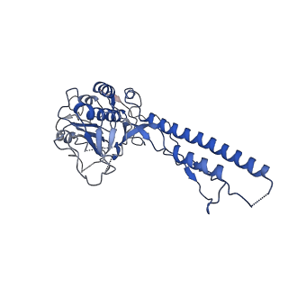 10186_6sgw_J_v1-2
Structure of the ESX-3 core complex
