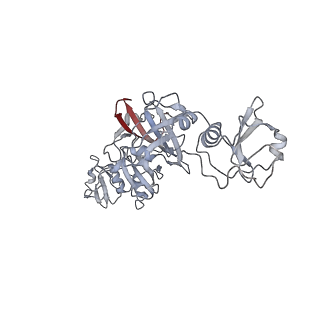 10188_6sgy_B_v1-2
Structure of EccB3 dimer from the ESX-3 core complex