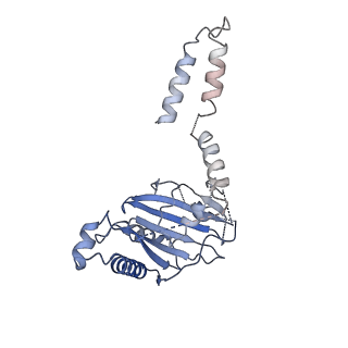 10191_6sgz_D_v1-2
Structure of protomer 2 of the ESX-3 core complex