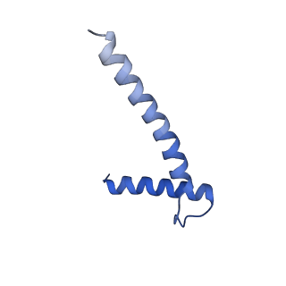 10191_6sgz_I_v1-2
Structure of protomer 2 of the ESX-3 core complex