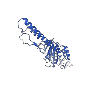10191_6sgz_J_v1-2
Structure of protomer 2 of the ESX-3 core complex