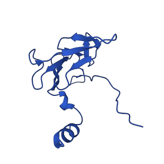 25106_7sg7_A_v1-1
In situ cryo-EM structure of bacteriophage Sf6 gp8:gp14N complex at 2.8 A resolution